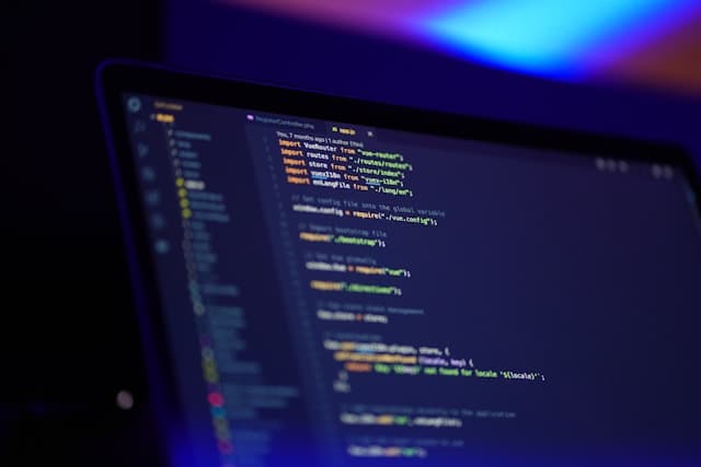 Na czym polega software house?